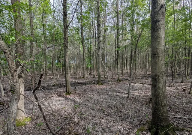 11th image of Balch Rd, Madison, OH 44057 | MLS# 5204085