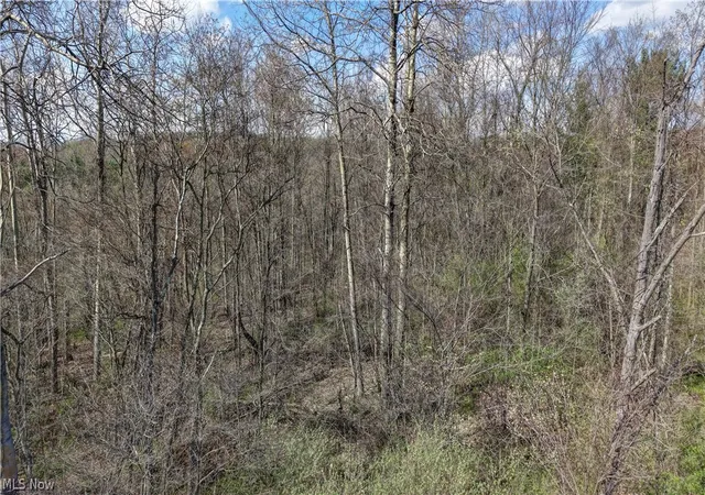 3rd image of 0 Martin Dr Southeast, East Sparta, OH 44626 | MLS# 5204018