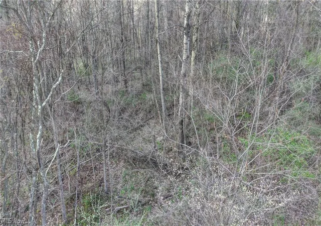 4th image of 0 Martin Dr Southeast, East Sparta, OH 44626 | MLS# 5204018