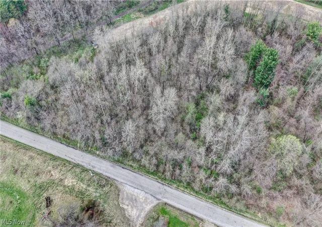 5th image of 0 Martin Dr Southeast, East Sparta, OH 44626 | MLS# 5204018
