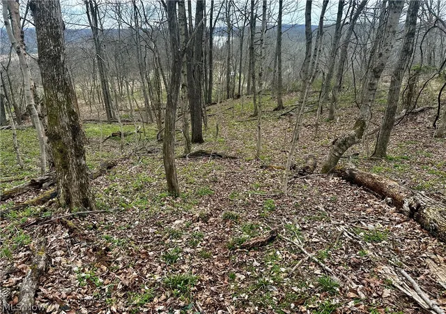 Photo 23 of Land for sale at 35840 Swan Rd, Long Bottom, OH 45743 | MLS# 5204150 | Listing updated on 2026-08-05