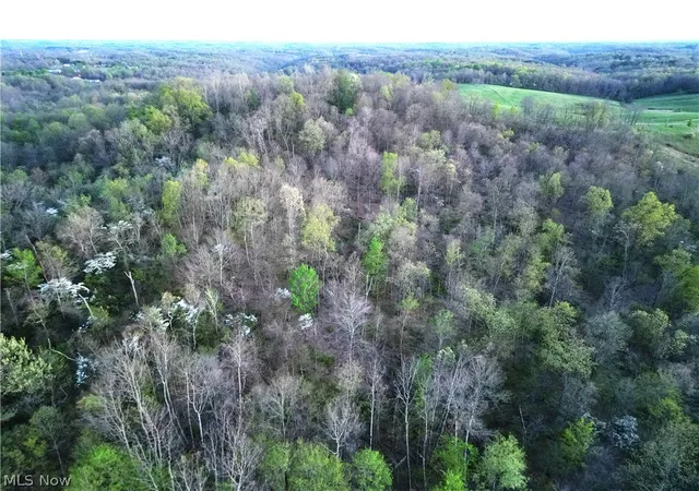 Photo 2 of Land for sale at Zane Rd, Lore, OH 43755 | MLS# 5202901 | Listing updated on 2026-04-25