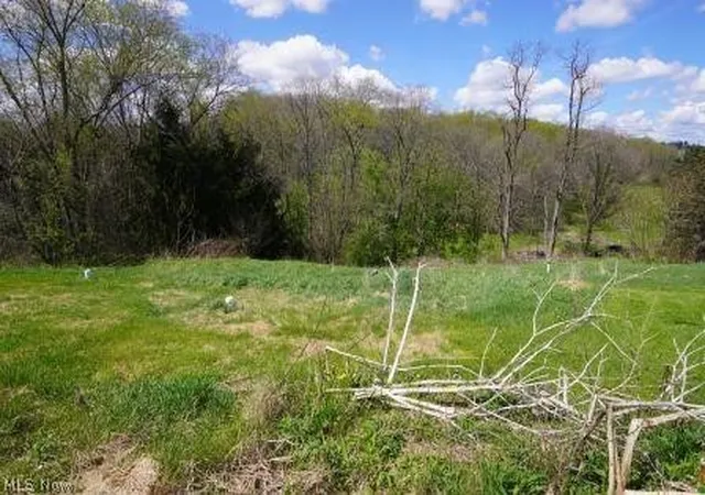 34th image of 84 Powerhouse Rd, Dillonvale, OH 43917 | MLS# 5204476