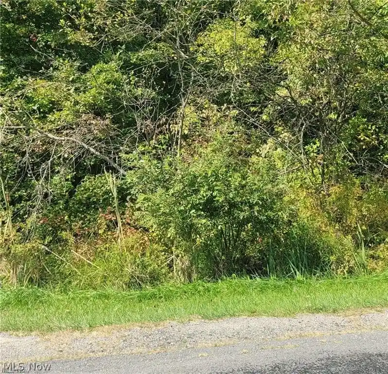 Photo 1 of Land for sale at New Milford Rd, Atwater, OH 44201 | MLS# 5204858 | Listing updated on 2026-10-22