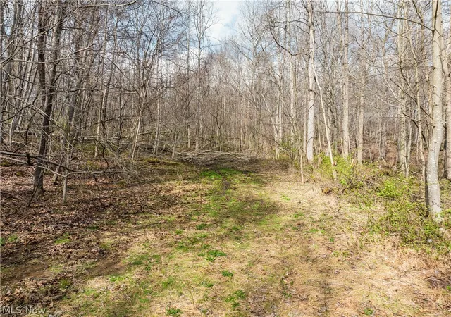 Homes for sale in Frazeysburg, OH | Township Rd 389, Frazeysburg, OH 43822 | MLS# 5204901