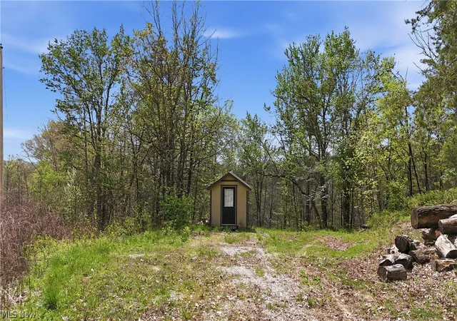Homes for sale in Wingett Run, OH | Beardmore Rd, Wingett Run, OH 45789 | MLS# 5205375