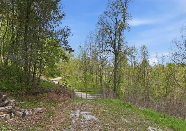 Homes for sale in Wingett Run, OH | Beardmore Rd, Wingett Run, OH 45789 | MLS# 5205375