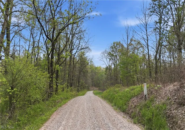 Homes for sale in Wingett Run, OH | Beardmore Rd, Wingett Run, OH 45789 | MLS# 5205375