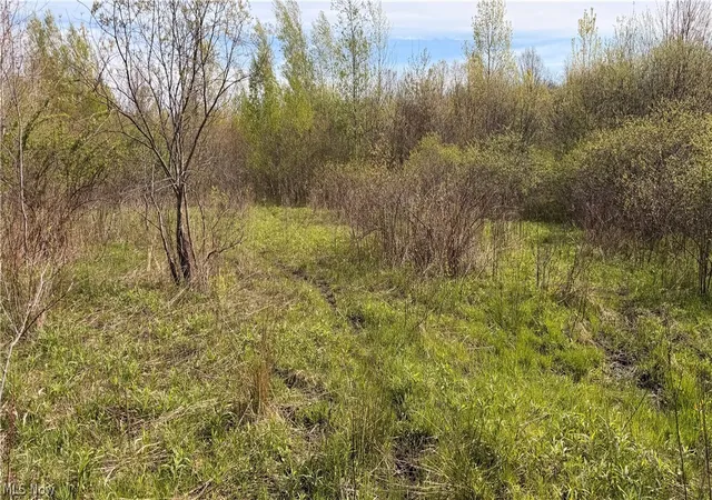 3rd image of Oh 7, Williamsfield, OH 44082 | MLS# 5205474