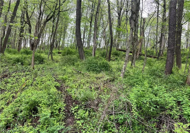Photo 3 of Sale Pending at Westbrook St Se, Magnolia, OH 44643 | MLS# 5206362 | Listing updated on 2026-08-14
