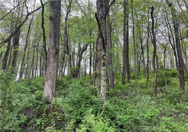 Photo 3 of Sale Pending at Westbrook St SE, Magnolia, OH 44643 | MLS# 5206362 | Listing updated on 2026-08-14