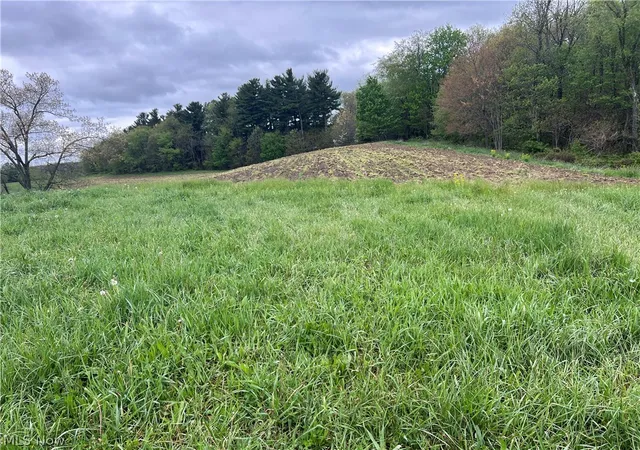 Photo 4 of Sale Pending at Westbrook St SE, Magnolia, OH 44643 | MLS# 5206362 | Listing updated on 2026-08-14