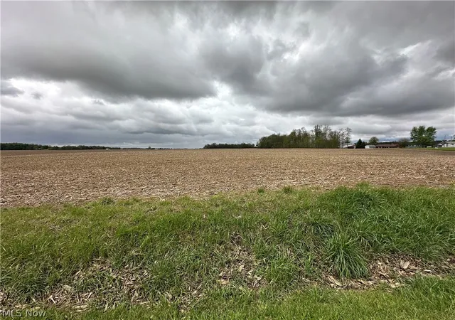 Homes for sale in Tiro, OH | 0 N Auburn Rd, Tiro, OH 44887 | MLS# 5206457