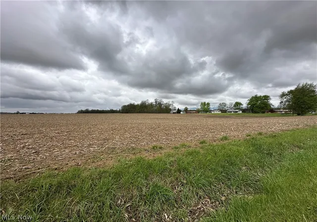 Homes for sale in Tiro, OH | 0 N Auburn Rd, Tiro, OH 44887 | MLS# 5206457