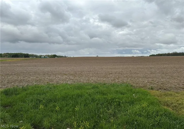 Homes for sale in Tiro, OH | 0 N Auburn Rd, Tiro, OH 44887 | MLS# 5206457