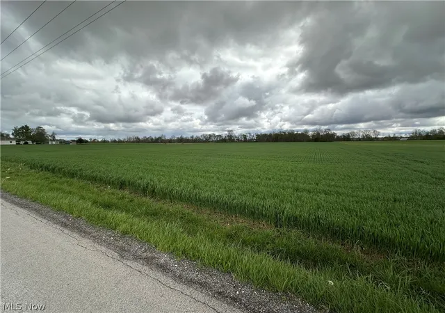 Homes for sale in Tiro, OH | 0 N Auburn Rd, Tiro, OH 44887 | MLS# 5206457