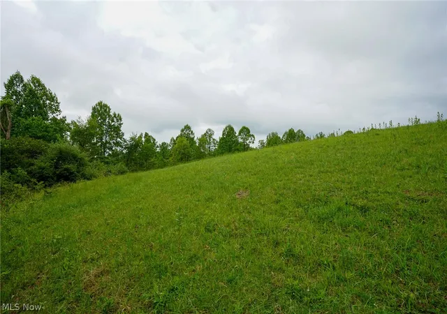 13th image of Van Fossen Ln, Chesterhill, OH 43728 | MLS# 5206693