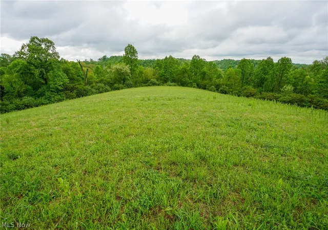 1st image of Van Fossen Ln, Chesterhill, OH 43728 | MLS# 5206693