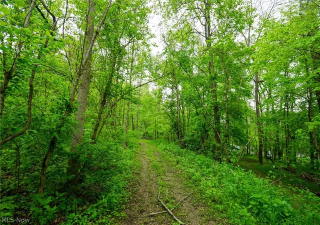 1st image of Ervin Ln, Stockport, OH 43787 | MLS# 5206698