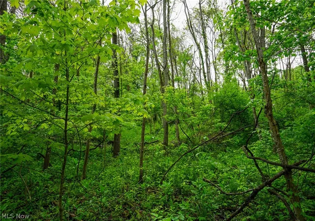2nd image of Ervin Ln, Stockport, OH 43787 | MLS# 5206698