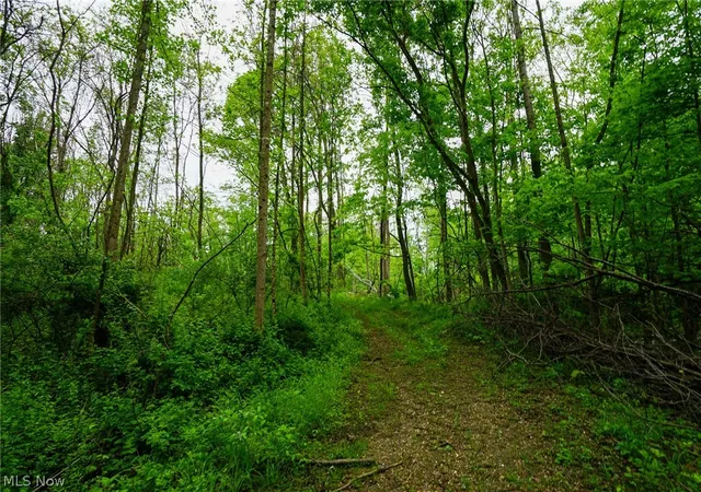3rd image of Ervin Ln, Stockport, OH 43787 | MLS# 5206698
