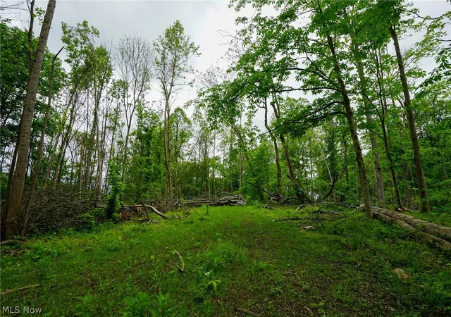 4th image of Ervin Ln, Stockport, OH 43787 | MLS# 5206698
