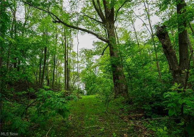 5th image of Ervin Ln, Stockport, OH 43787 | MLS# 5206698