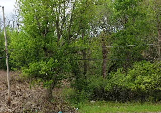 1st image of Montgomery Ave, Youngstown, OH 44506 | MLS# 5206707