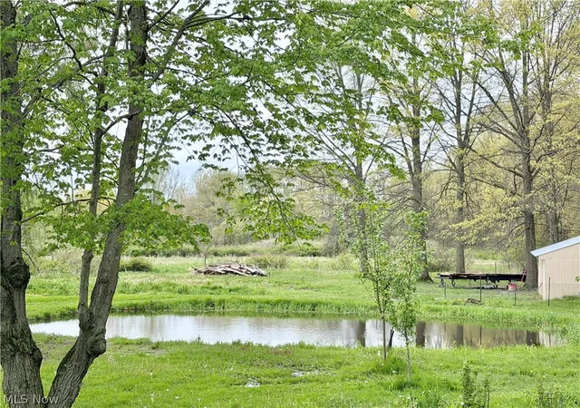 Homes for sale in Newton Falls, OH | 3948 Carson Salt Springs Rd, Newton Falls, OH 44444 | MLS# 5206642