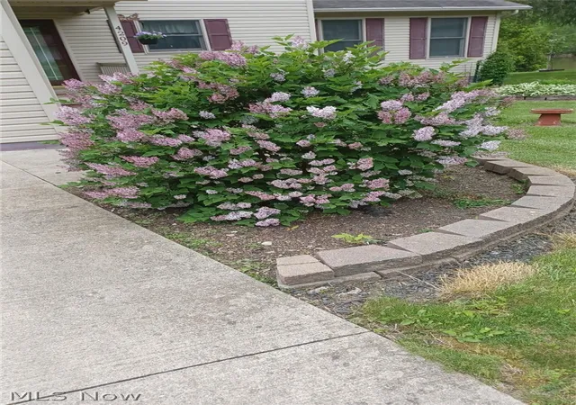 2nd image of 4209 Majorna Dr, West Salem, OH 44287 | MLS# 5205882