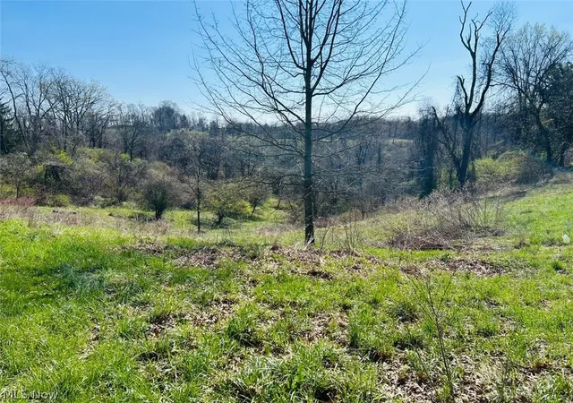 41st image of 186 Township Rd 1305, Toronto, OH 43964 | MLS# 5206912