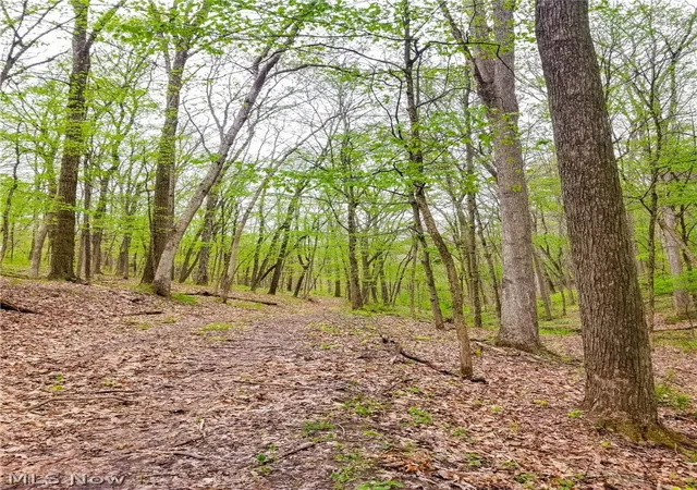 Photo 3 of Sale Pending at 17081 State Route 644, Salineville, OH 43945 | MLS# 5206944 | Listing updated on 2026-08-20