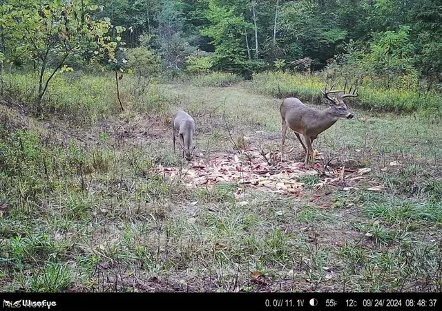26th image of 69 Acres Newlon Rd, Malta, OH 43758 | MLS# 5207161