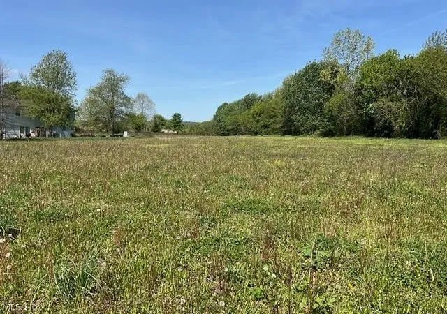 Homes for sale in Bolivar, OH | Hess Mill Rd, Bolivar, OH 44612 | MLS# 5207531