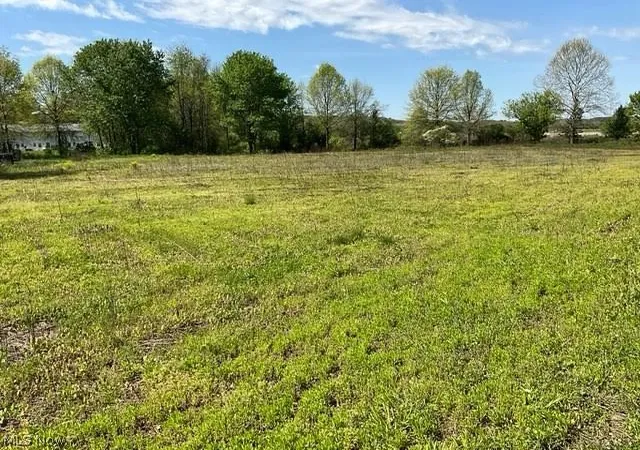 Homes for sale in Bolivar, OH | Hess Mill Rd, Bolivar, OH 44612 | MLS# 5207531
