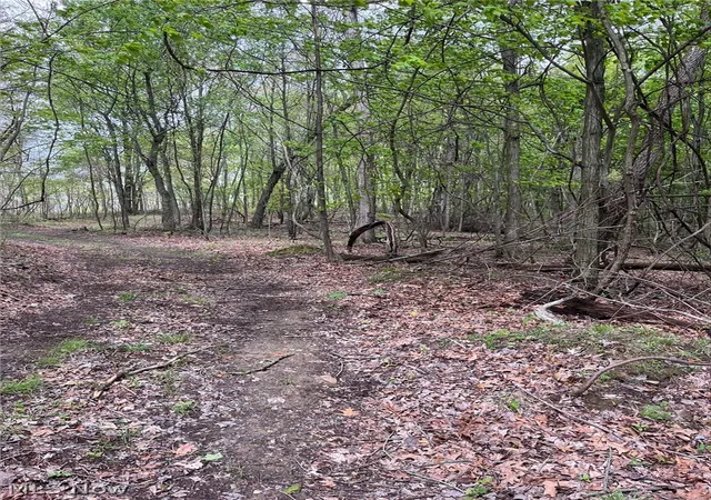 1st image of Sandy Ridge Rd, Tippecanoe, OH 44699 | MLS# 5207239