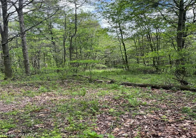 Photo 3 of Sale Pending at Sandy Ridge Rd, Tippecanoe, OH 44699 | MLS# 5207239 | Listing updated on 2026-07-24