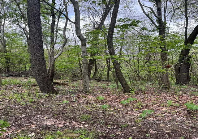 Photo 3 of Sale Pending at Sandy Ridge Rd, Tippecanoe, OH 44699 | MLS# 5207239 | Listing updated on 2026-07-24