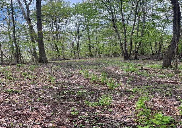 Photo 4 of Sale Pending at Sandy Ridge Rd, Tippecanoe, OH 44699 | MLS# 5207239 | Listing updated on 2026-07-24