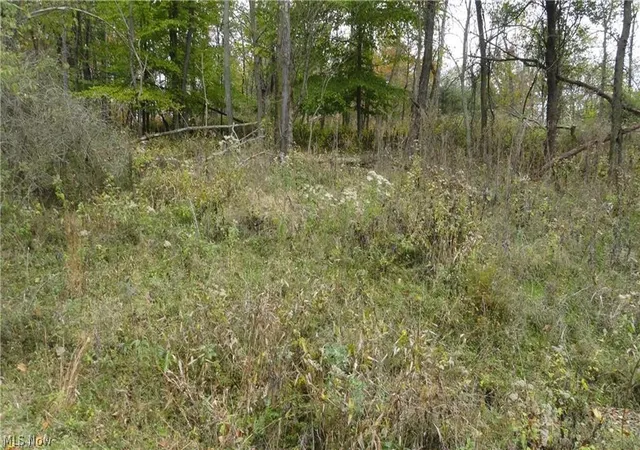 Homes for sale in Weirton, WV | Bryden   Lot # 40 Rd, Weirton, WV 26062 | MLS# 5207685