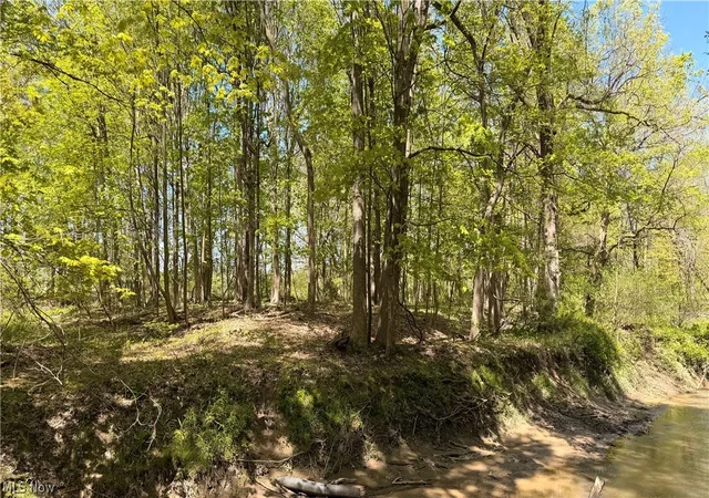 5th image of St Rt 82, Columbia Station, OH 44028 | MLS# 5207757