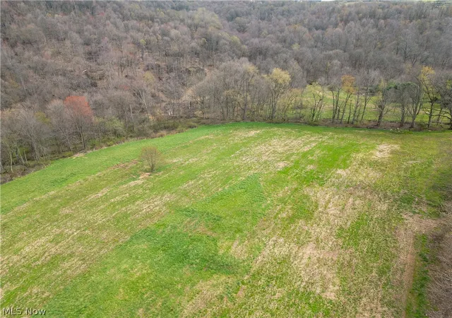 Homes for sale in Dundee, OH | 8480 Possum Hollow Rd Nw, Dundee, OH 44624 | MLS# 5208086