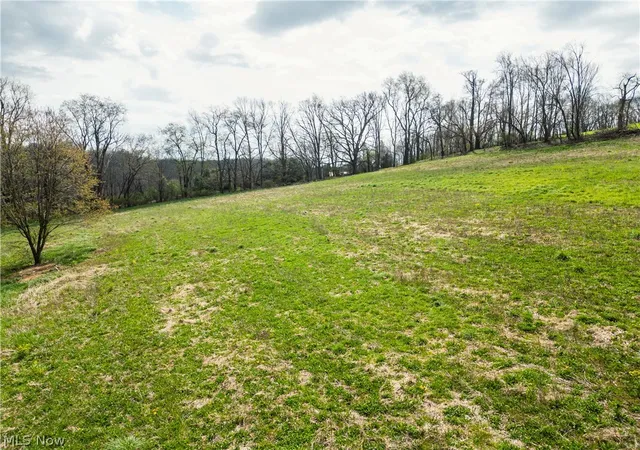 Homes for sale in Dundee, OH | 8480 Possum Hollow Rd Nw, Dundee, OH 44624 | MLS# 5208086