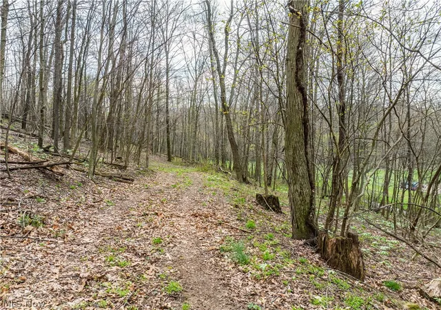 Homes for sale in Dundee, OH | 8480 Possum Hollow Rd Nw, Dundee, OH 44624 | MLS# 5208086
