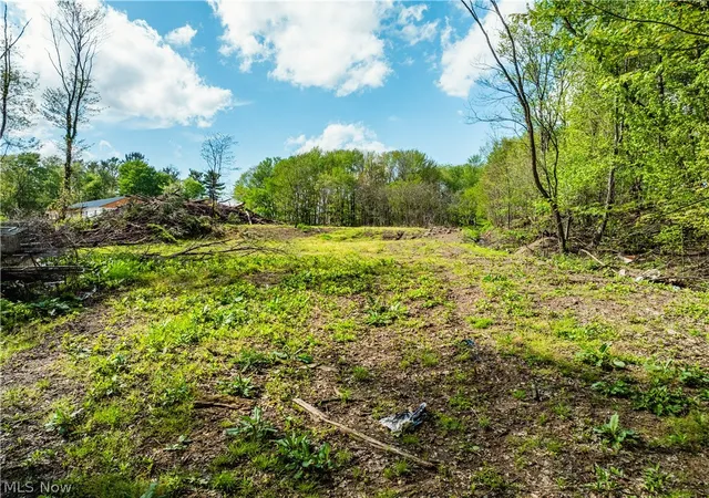 Homes for sale in Dundee, OH | 8089 Nebraska Rd Nw, Dundee, OH 44624 | MLS# 5208102