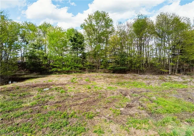 Homes for sale in Dundee, OH | 8089 Nebraska Rd Nw, Dundee, OH 44624 | MLS# 5208102