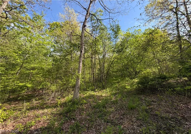 Homes for sale in Coshocton, OH | 45934 Township Road 290, Coshocton, OH 43812 | MLS# 5208251