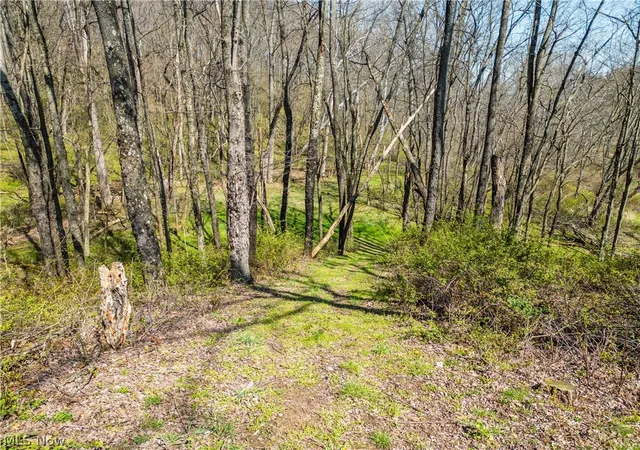 Homes for sale in Lakeville, OH | 7313 County Road 22, Lakeville, OH 44638 | MLS# 5208452