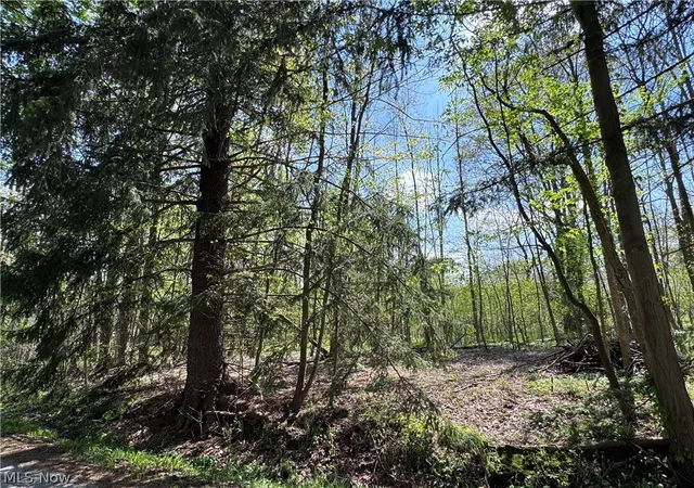 Photo 1 of Land for sale at 11664 Chestnutdale Rd, Chardon, OH 44024 | MLS# 5207748 | Listing updated on 2026-09-30