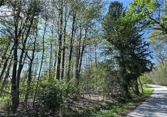 4th image of Chestnutdale Rd, Chardon, OH 44024 | MLS# 5207748